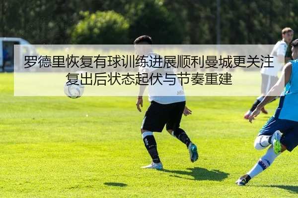img_1783777257635_489_1_571.jpg